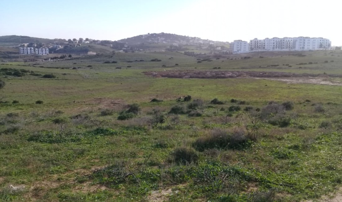 Achakar Tanger Terrains à vendre