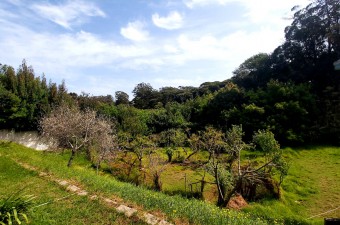 Terrain de 2,8 hectares à Rmilat près du parc avec vue mer dans l'un des plus beaux et prestigieux quartiers de Tanger.
