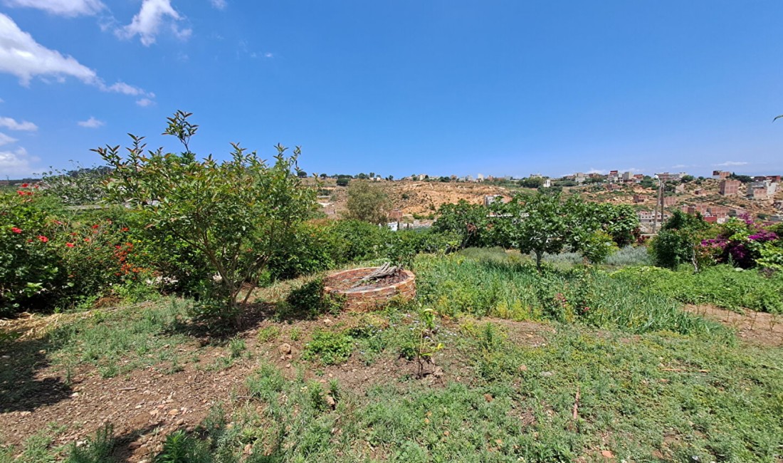 El Aouama Tanger Maisons à vendre